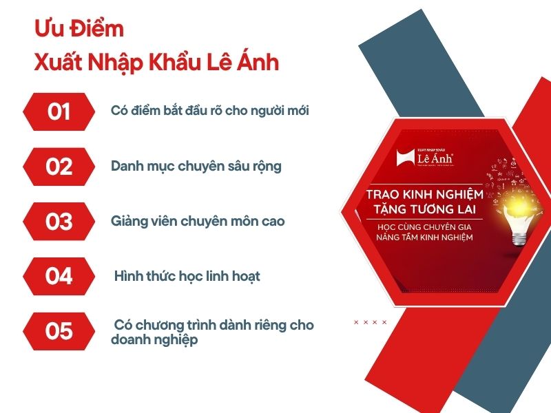 Ưu Điểm Xuất Nhập Khẩu Lê Ánh