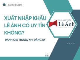 Xuất Nhập Khẩu Lê Ánh có uy tín không