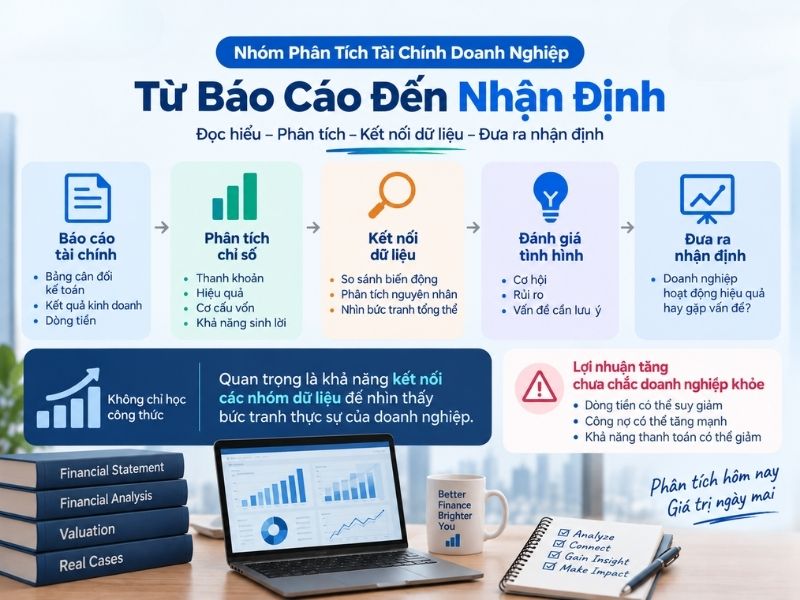Nhóm Phân Tích Tài Chính Doanh Nghiệp: Từ Báo Cáo Đến Nhận Định
